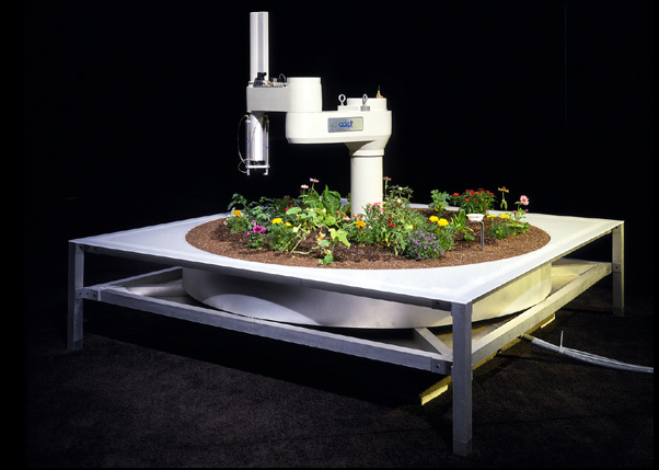  and operate the robotic arm The Telegarden project was operational for 